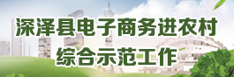 深澤縣電子商務進農村綜合示范工作